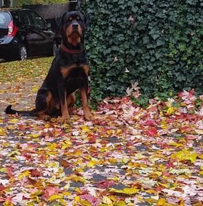 Meet your Posher, Sulaiman